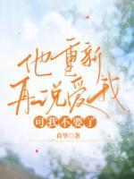 龙婿无双李青韩梅完整版