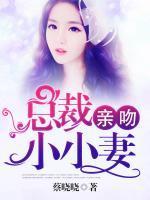 城里的魔法师起点