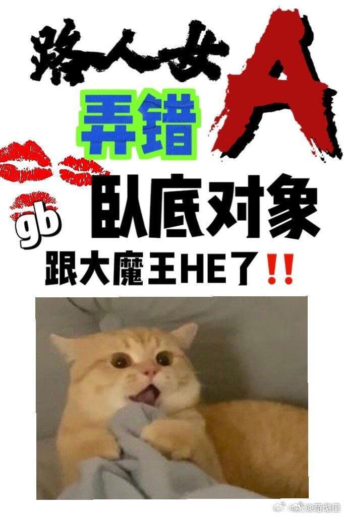 汉贼明大义什么意思