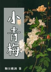 六月菊晋江