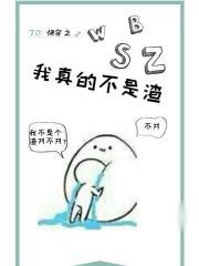 无限升级系统百度百科