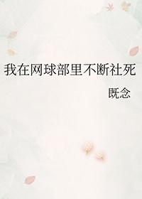 重生红楼之环三爷元春