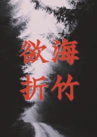 男神攻略系统