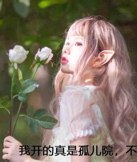 全职高手之开局龙抬头! 小小趴菜o