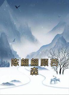 婢子绝色夜北承免费阅