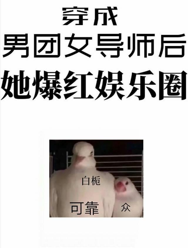 女主穿书先婚后爱